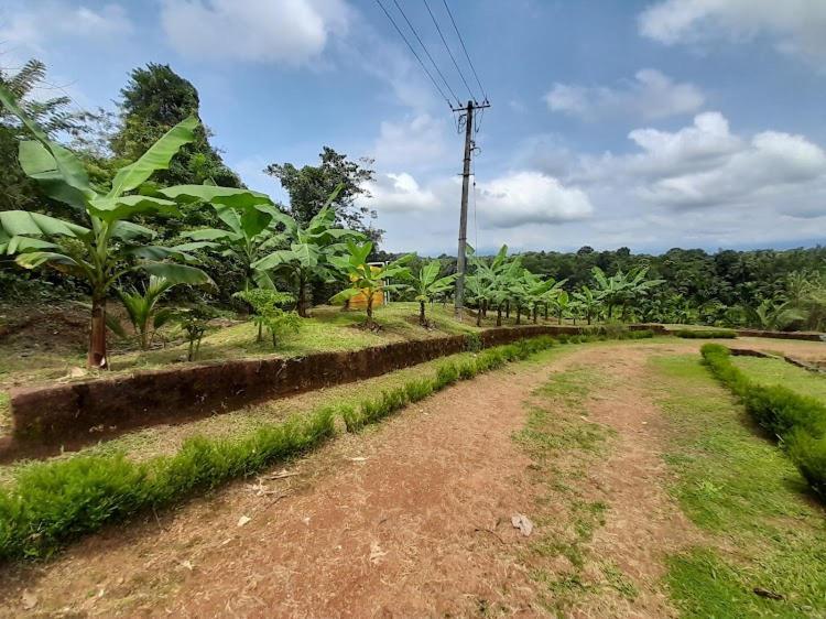 Nisarga Homestay, Dharmasthala Dharmastala Экстерьер фото