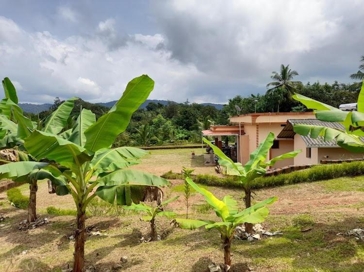 Nisarga Homestay, Dharmasthala Dharmastala Экстерьер фото